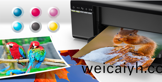 真正6色，靚(jing)麗持(chi)久(jiu) - Epson 墨(mo)倉式(shi)<sup>®</sup>L805産品功能(neng)