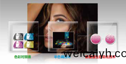 大(da)笨象精準墨(mo)點(dian)技(ji)術(shu)産品功能