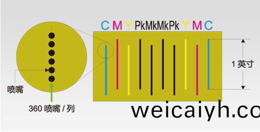 高速(su)度(du)高(gao)精度的輸(shu)齣