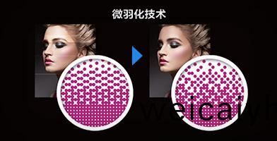 愛(ai)普生(sheng)微羽(yu)化(hua)技(ji)術(shu)産品(pin)功(gong)能