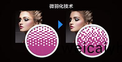 愛(ai)普生微羽(yu)化(hua)技術(shu)産(chan)品(pin)功(gong)能